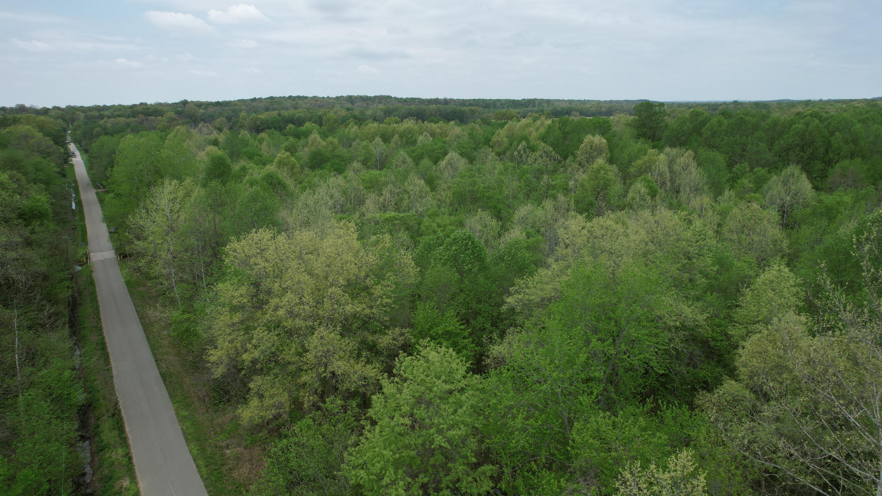 0 West Co Road South Oakland City, IN 47660 - Photo 6 of 10 a view of a lush green forest with a houses