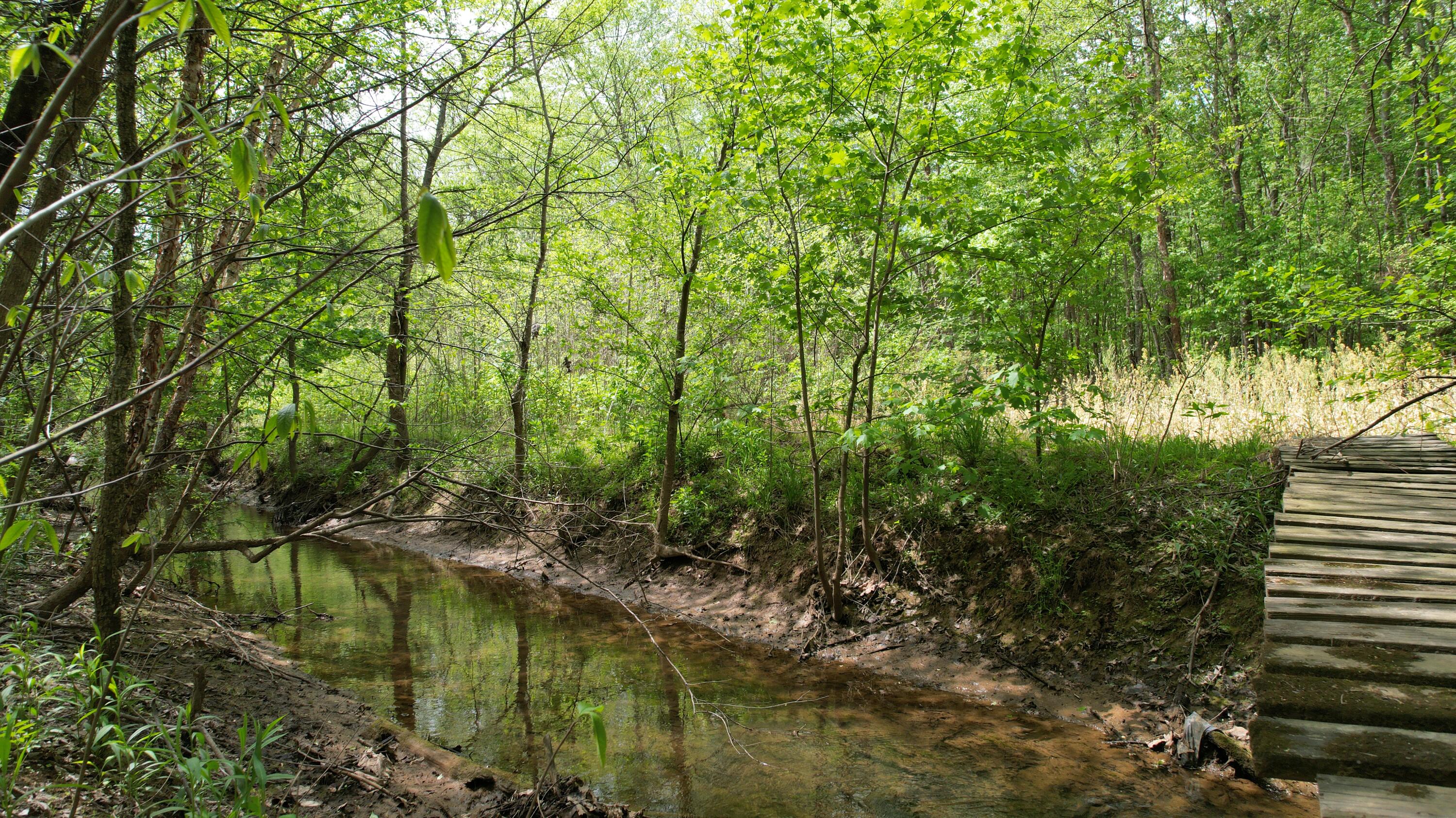 0 West Co Road South Oakland City, IN 47660 - Photo 8 of 10 a view of lake