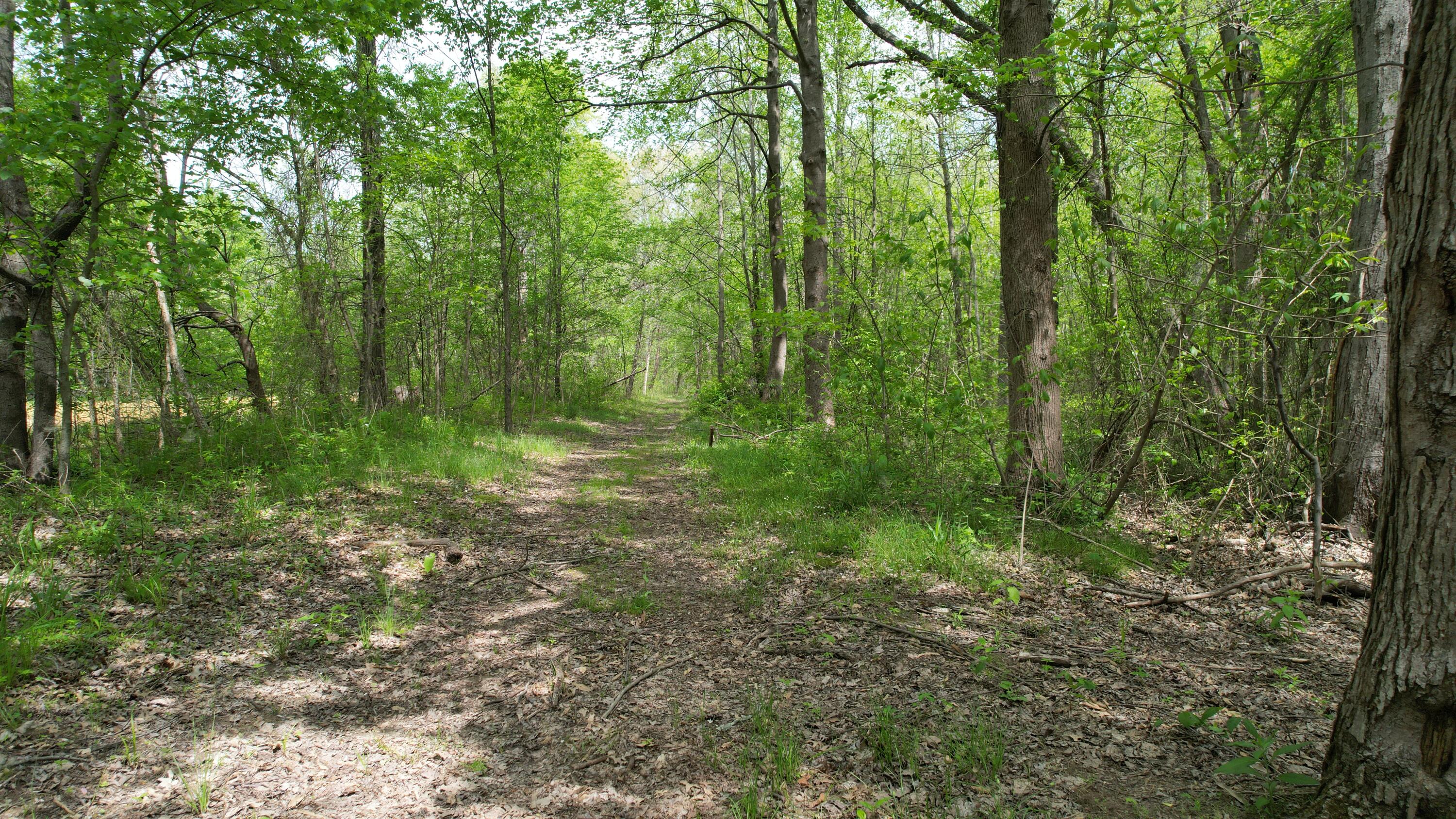 0 West Co Road South Oakland City, IN 47660 - Photo 9 of 10 a view of outdoor space and green space