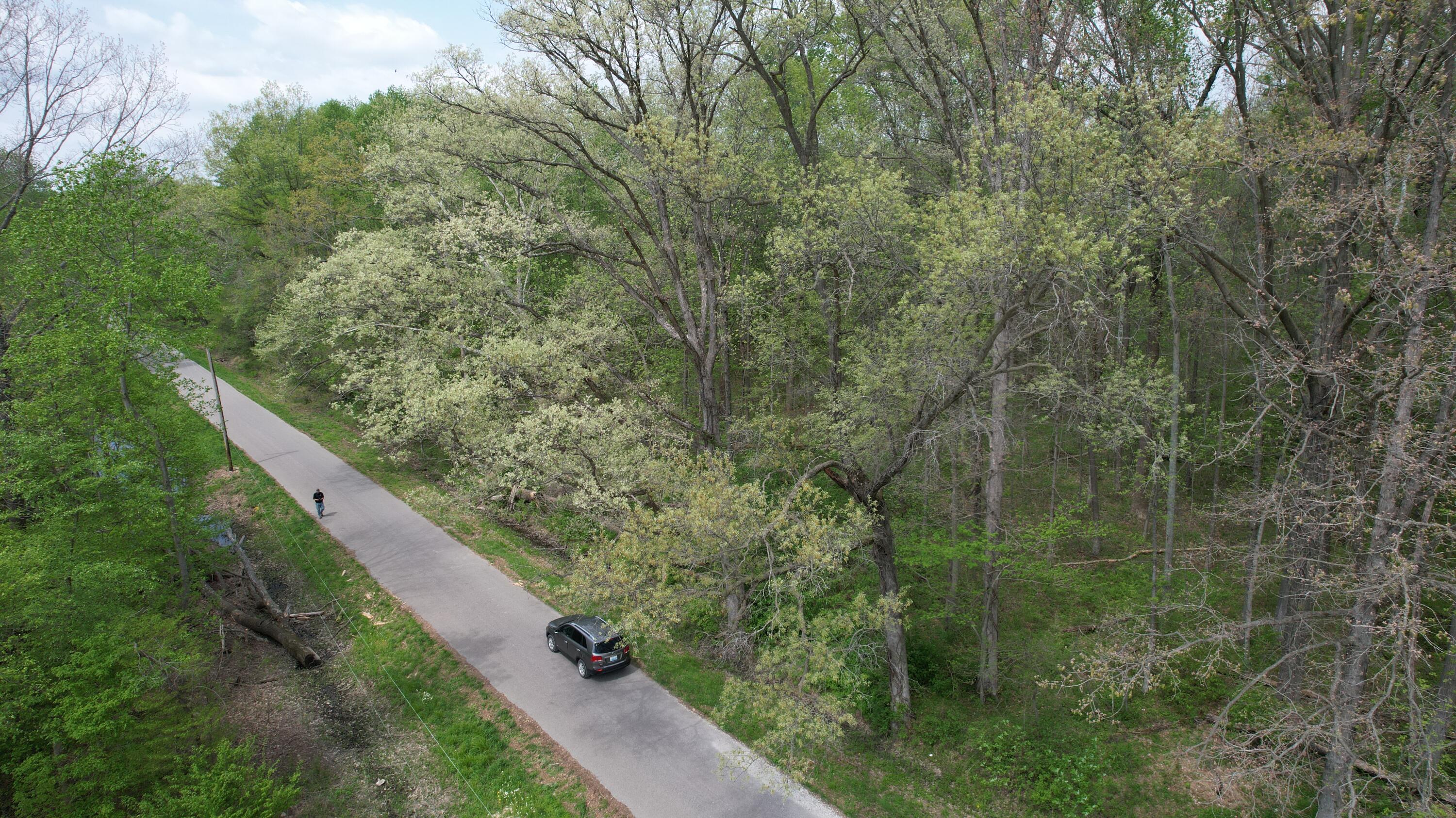 0 West Co Road South Oakland City, IN 47660 - Photo 10 of 10 a view of a forest with trees in front of it