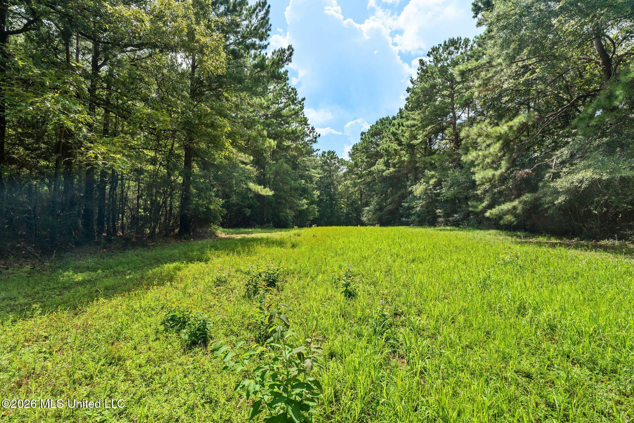 2111 Old Brookhaven Road Summit, MS 39666 - Photo 79 of 102 2111_Old_Brookhaven_Rd-103