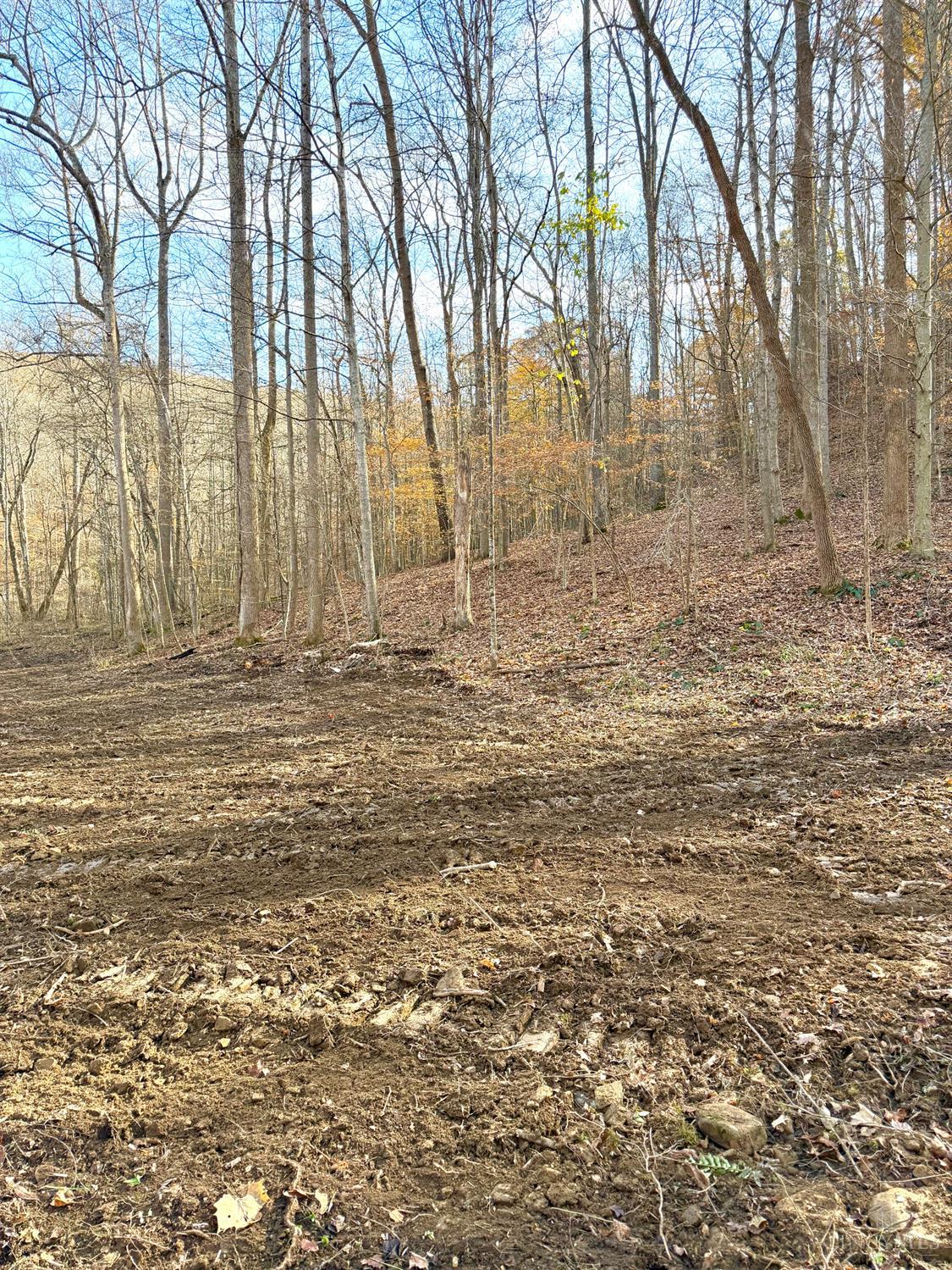 0 South Chenoweth Fork Road Piketon, OH 45661 - Photo 9 of 95