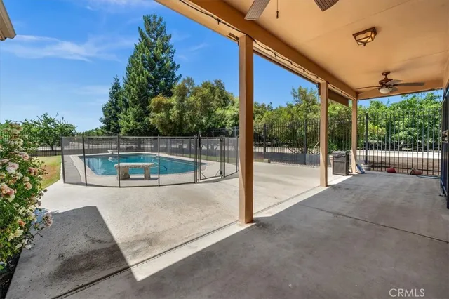 a view of a garden with a bench under an umbrella