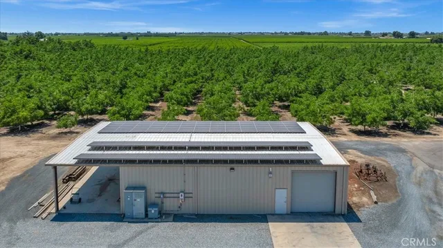a view of a wooden ground with large trees