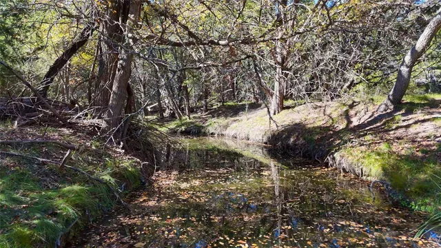 a view of outdoor space and trees