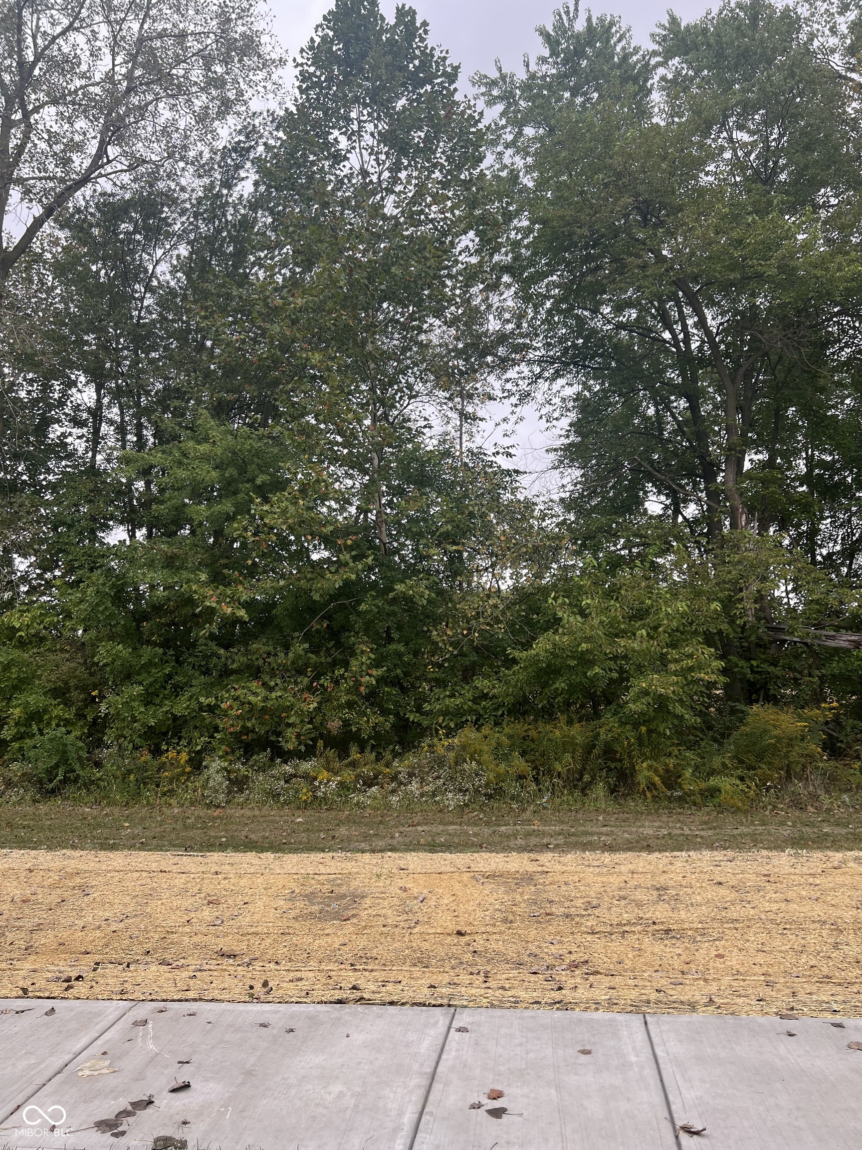 1782 Trinity Lane Westfield, IN 46074 - Photo 30 of 32