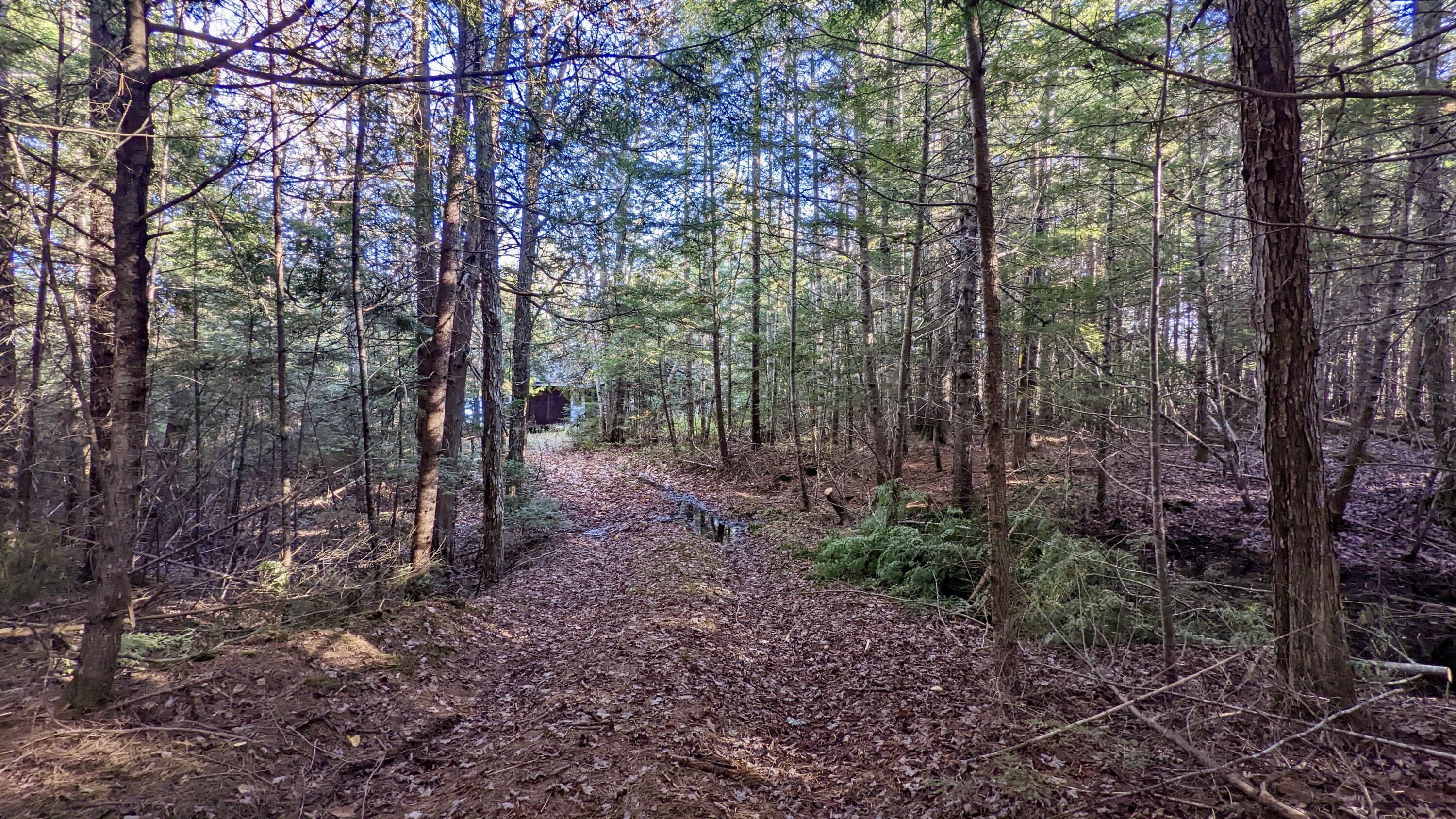 35 Silsby Road Ellsworth, ME 04605 - Photo 29 of 39 PXL_20221028_184421916