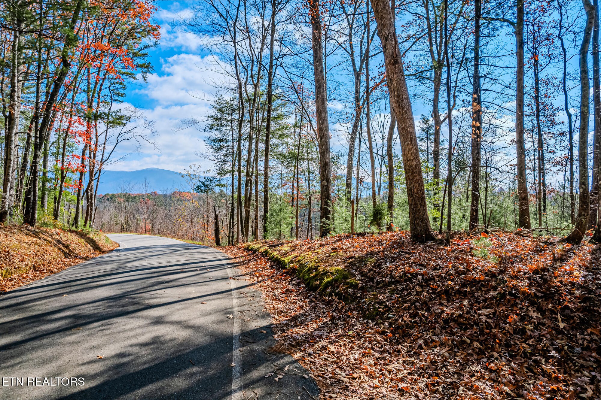 0 Pond Ridge Road Tellico Plains, TN 37385 - Photo 2 of 32