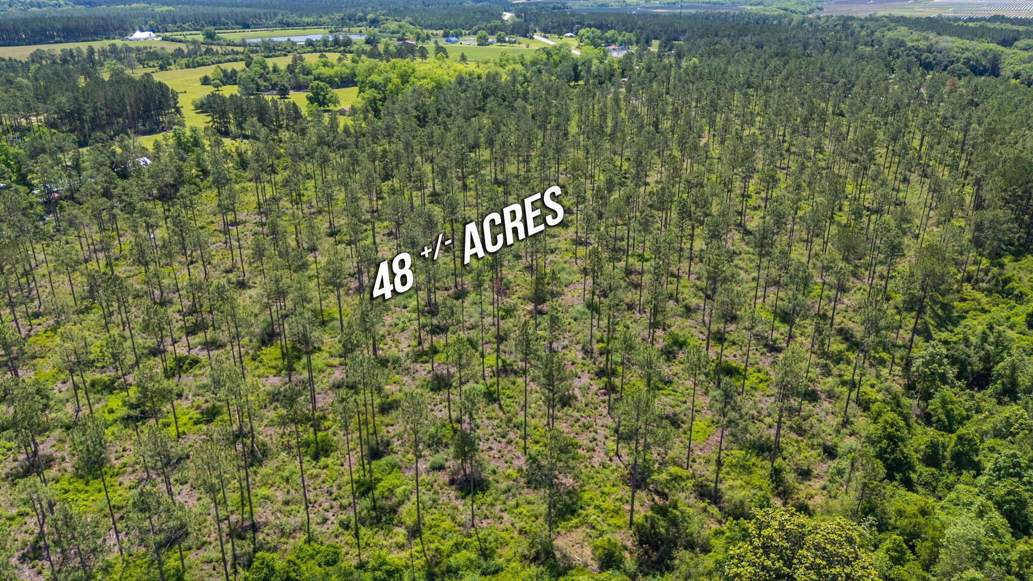 11 Sandy Ramp Road DeFuniak Springs, FL 32433 - Photo 11 of 25