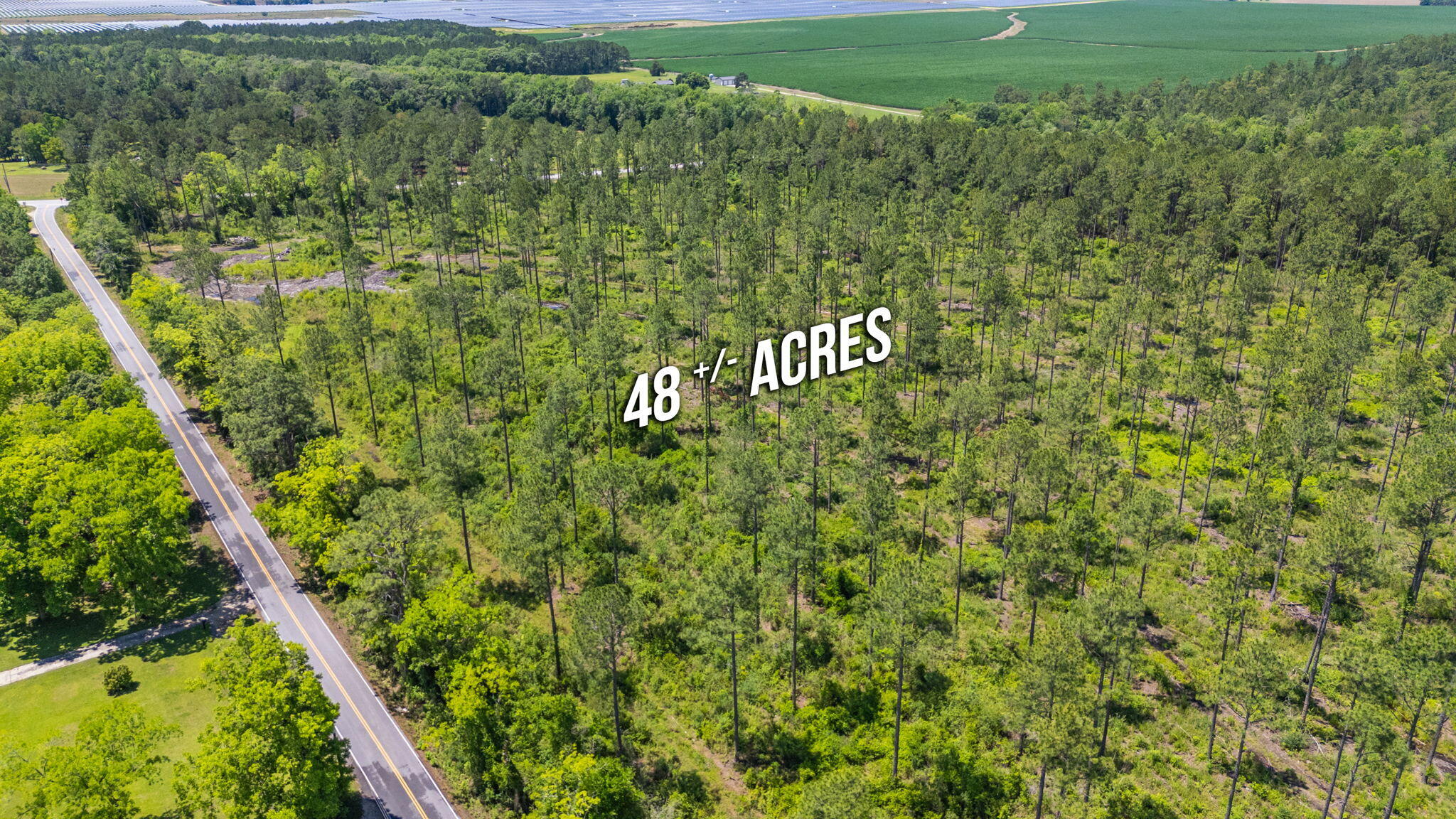 11 Sandy Ramp Road DeFuniak Springs, FL 32433 - Photo 12 of 25