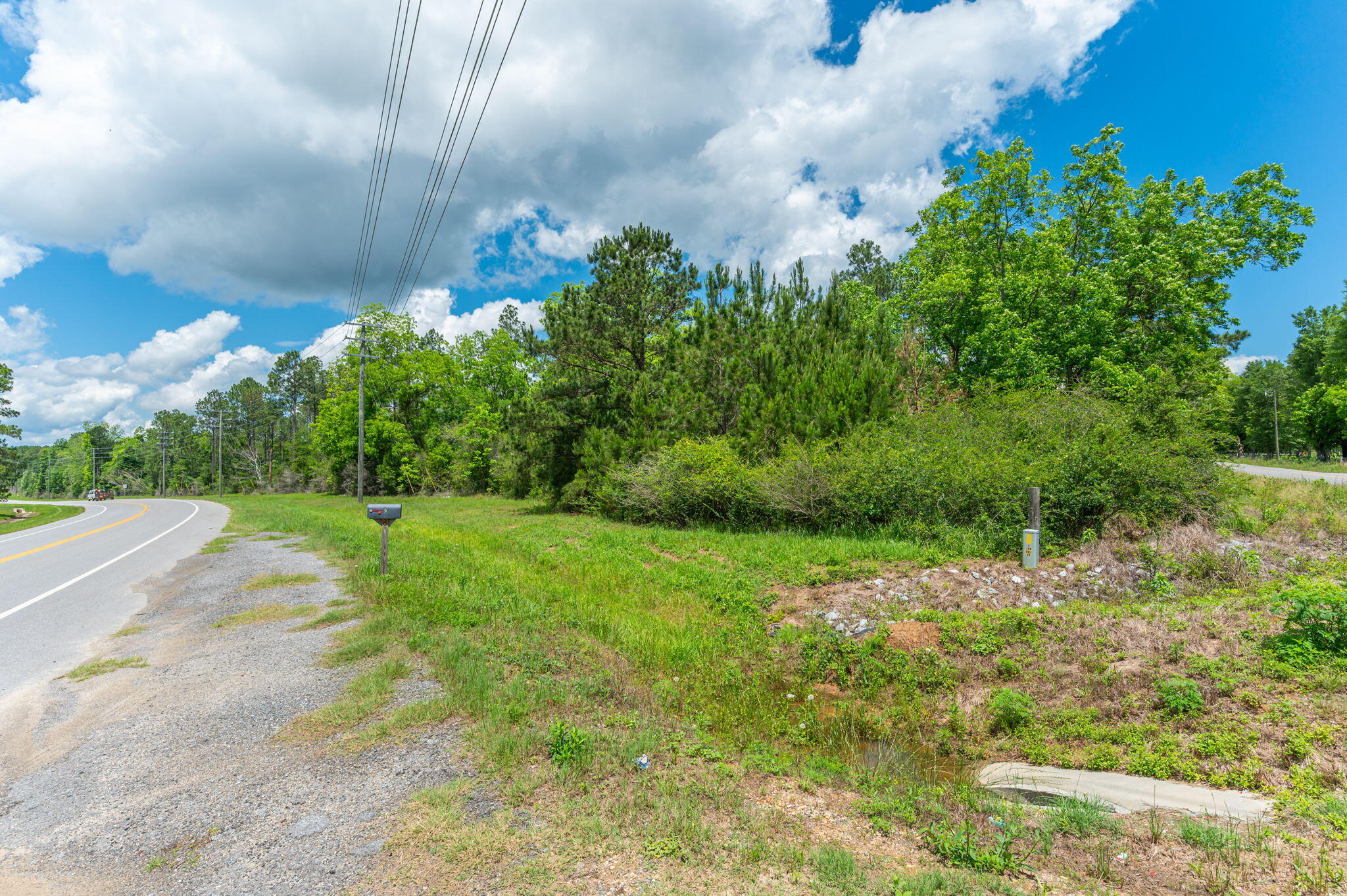 11 Sandy Ramp Road DeFuniak Springs, FL 32433 - Photo 16 of 25 a view of a yard with plants and large trees