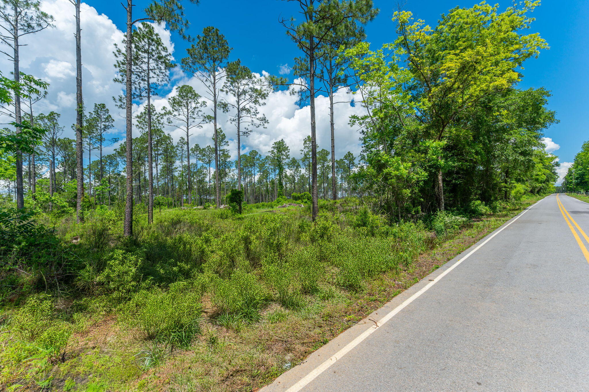 11 Sandy Ramp Road DeFuniak Springs, FL 32433 - Photo 17 of 25 a view of a garden with a building in front of it
