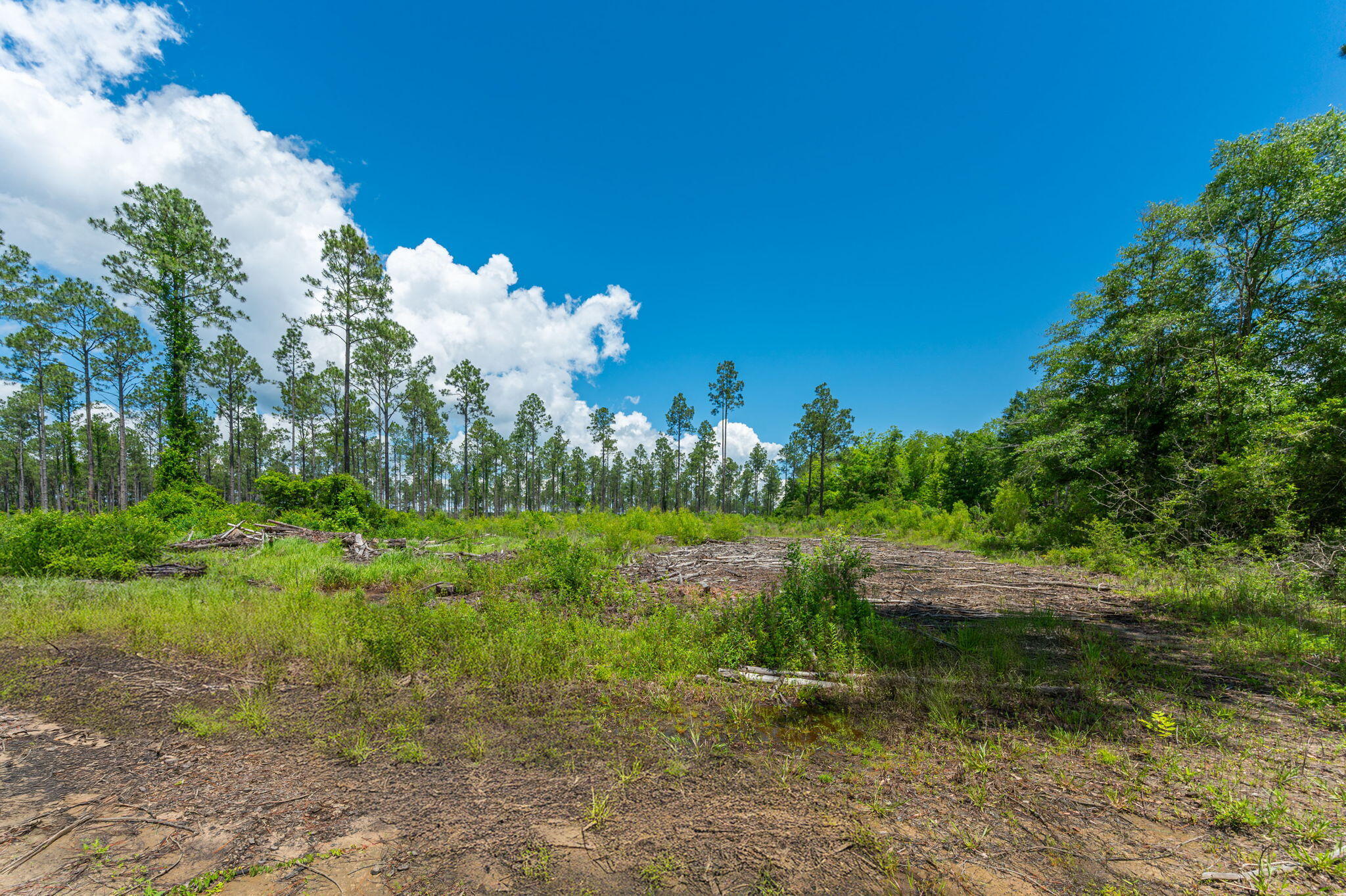 11 Sandy Ramp Road DeFuniak Springs, FL 32433 - Photo 20 of 25 a view of a lake with a yard