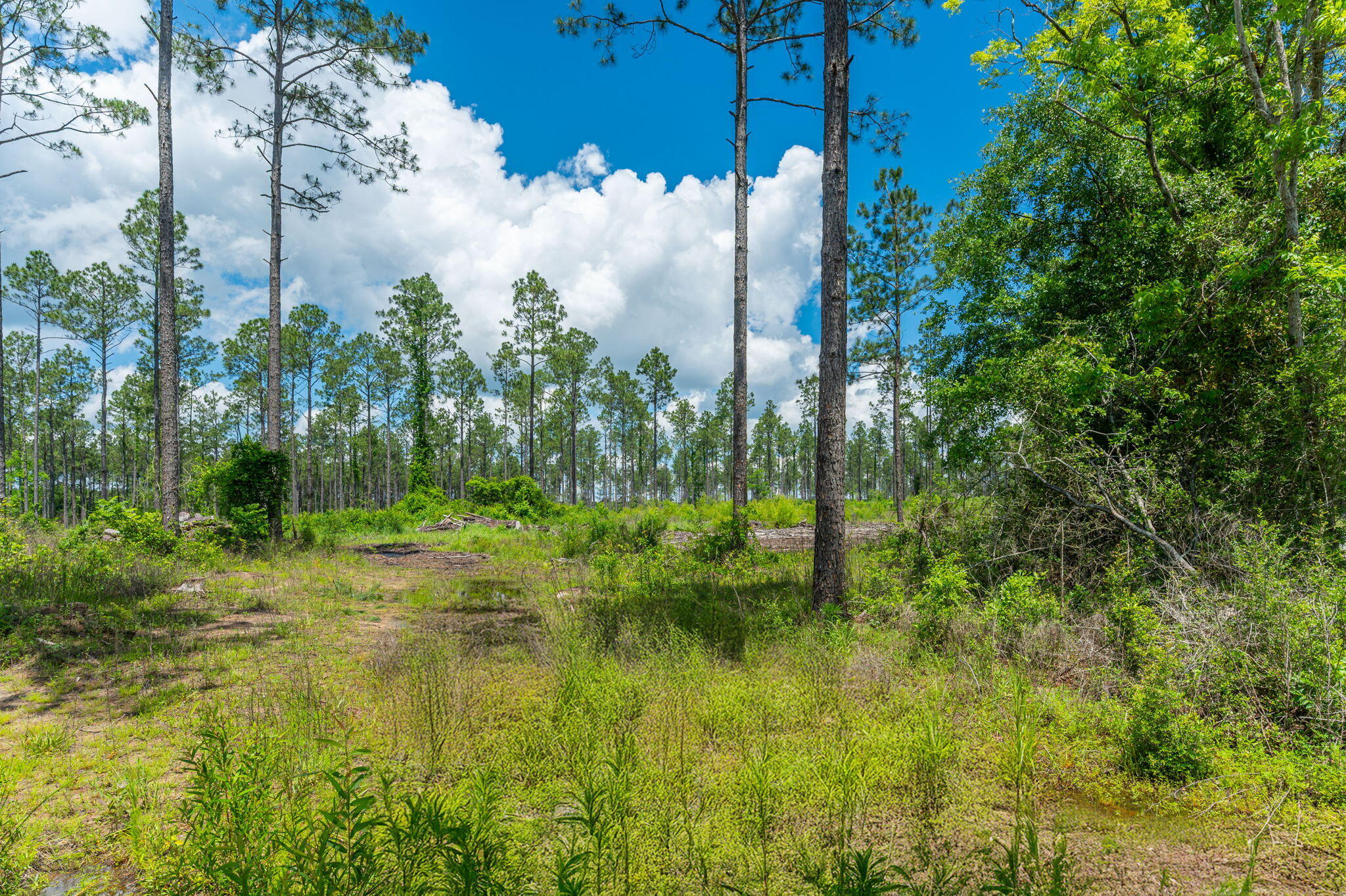 11 Sandy Ramp Road DeFuniak Springs, FL 32433 - Photo 21 of 25 a view of swimming pool from a lake view