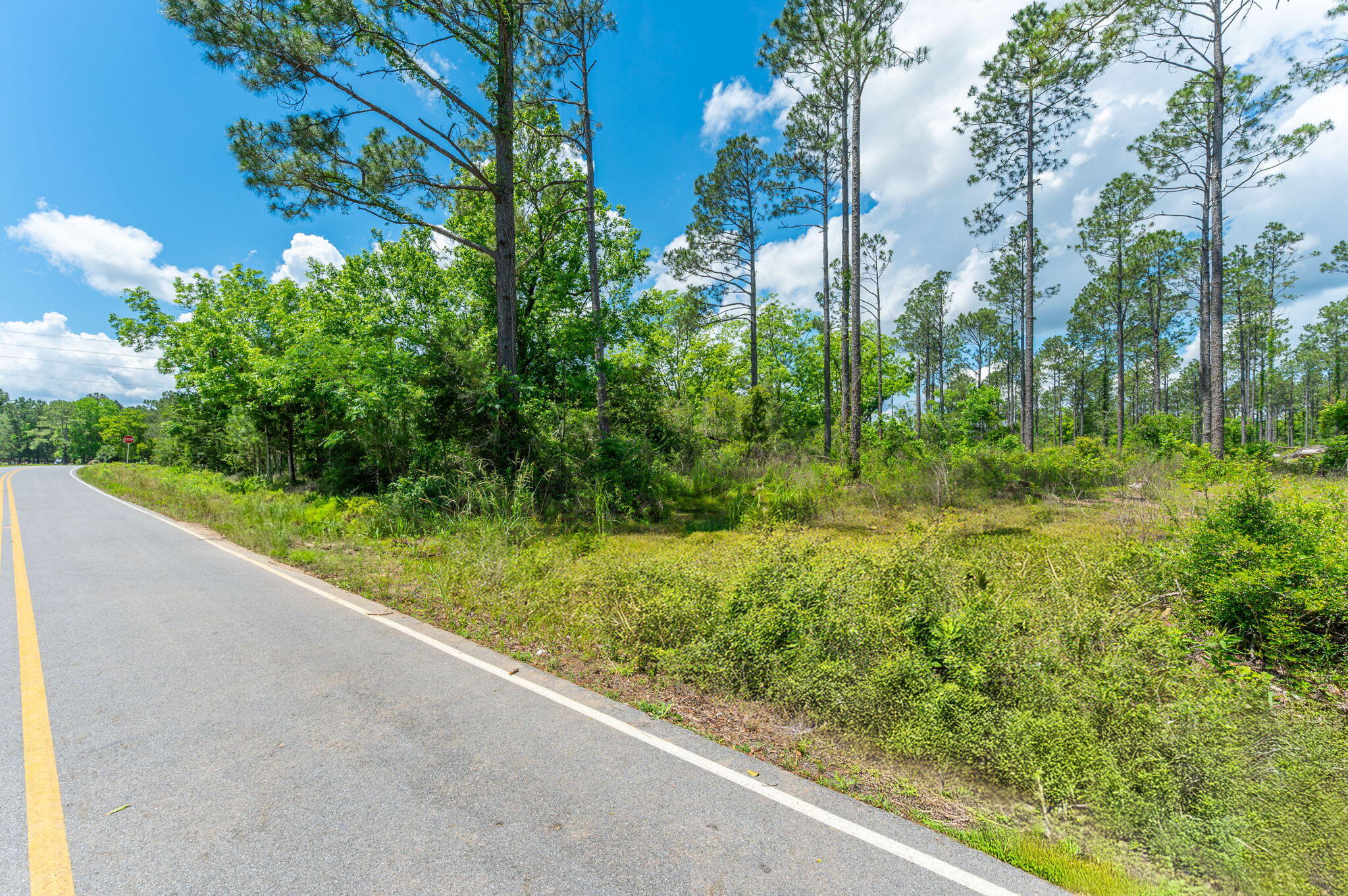 11 Sandy Ramp Road DeFuniak Springs, FL 32433 - Photo 22 of 25 a view of a garden