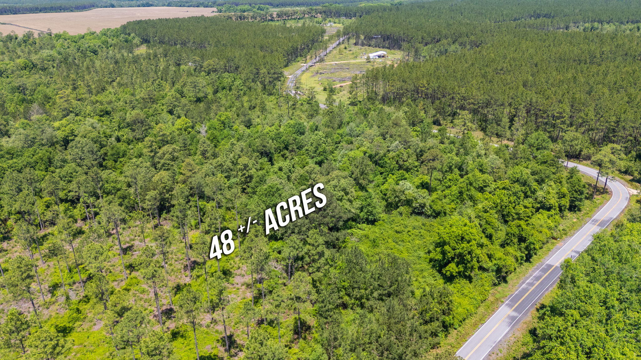 11 Sandy Ramp Road DeFuniak Springs, FL 32433 - Photo 9 of 25 a view of a lake with a tree