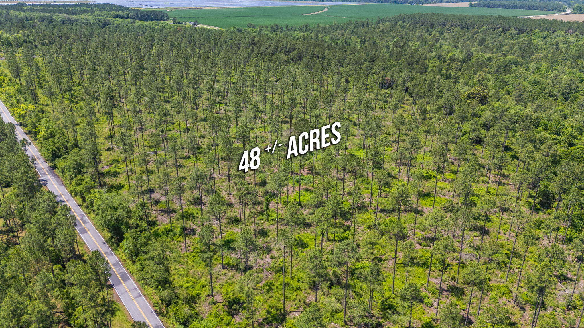 11 Sandy Ramp Road DeFuniak Springs, FL 32433 - Photo 10 of 25 a view of a sign board with a yard