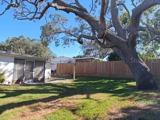 a view of a backyard with a large tree