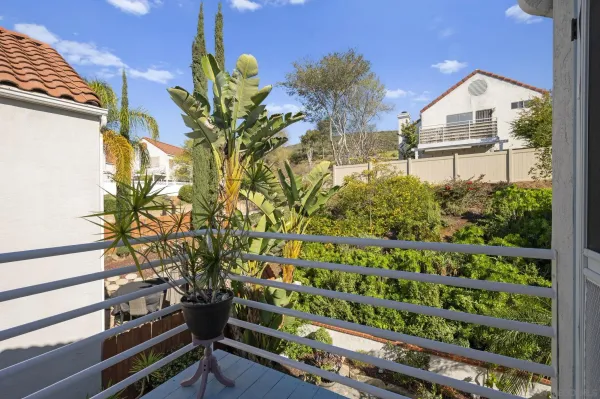 a view of a garden with plants