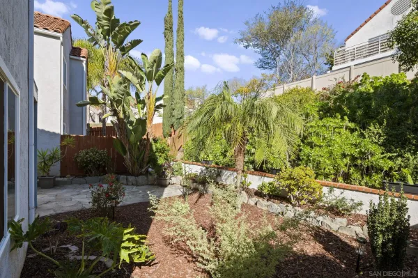 a view of a garden with a tree
