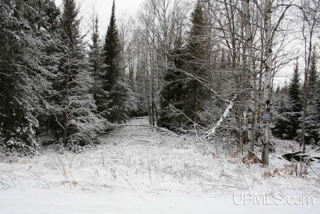 Tbd Hietanen Road Iron River, MI 49935 - Photo 6 of 10 Gallery Image 6