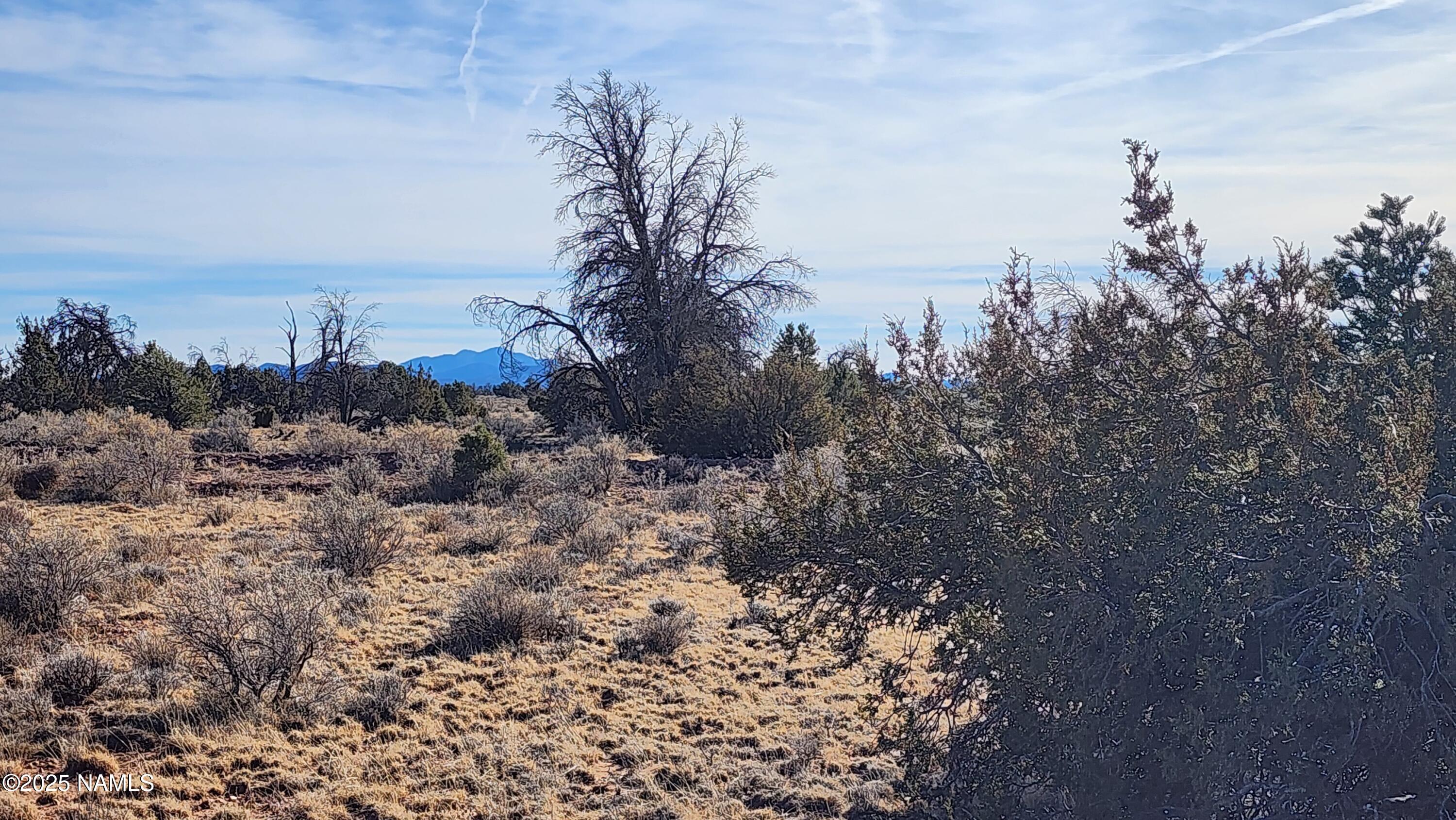 5373 Red Butte Road Williams, AZ 86046 - Photo 29 of 33 1000024077