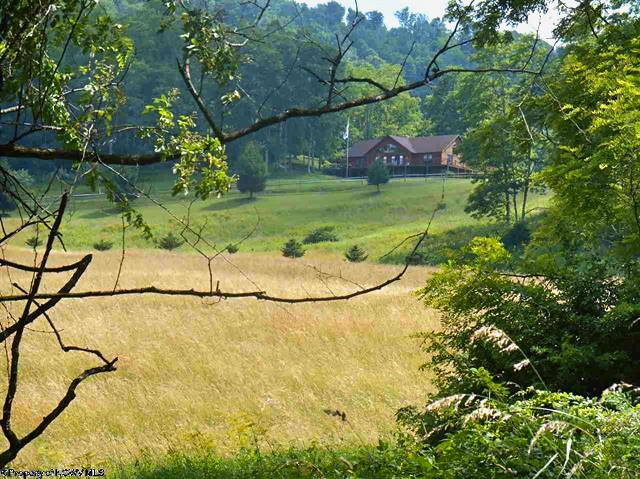 9102 Dry Branch Road Valley Head, WV 26294 - Photo 14 of 83 Gallery Image 14