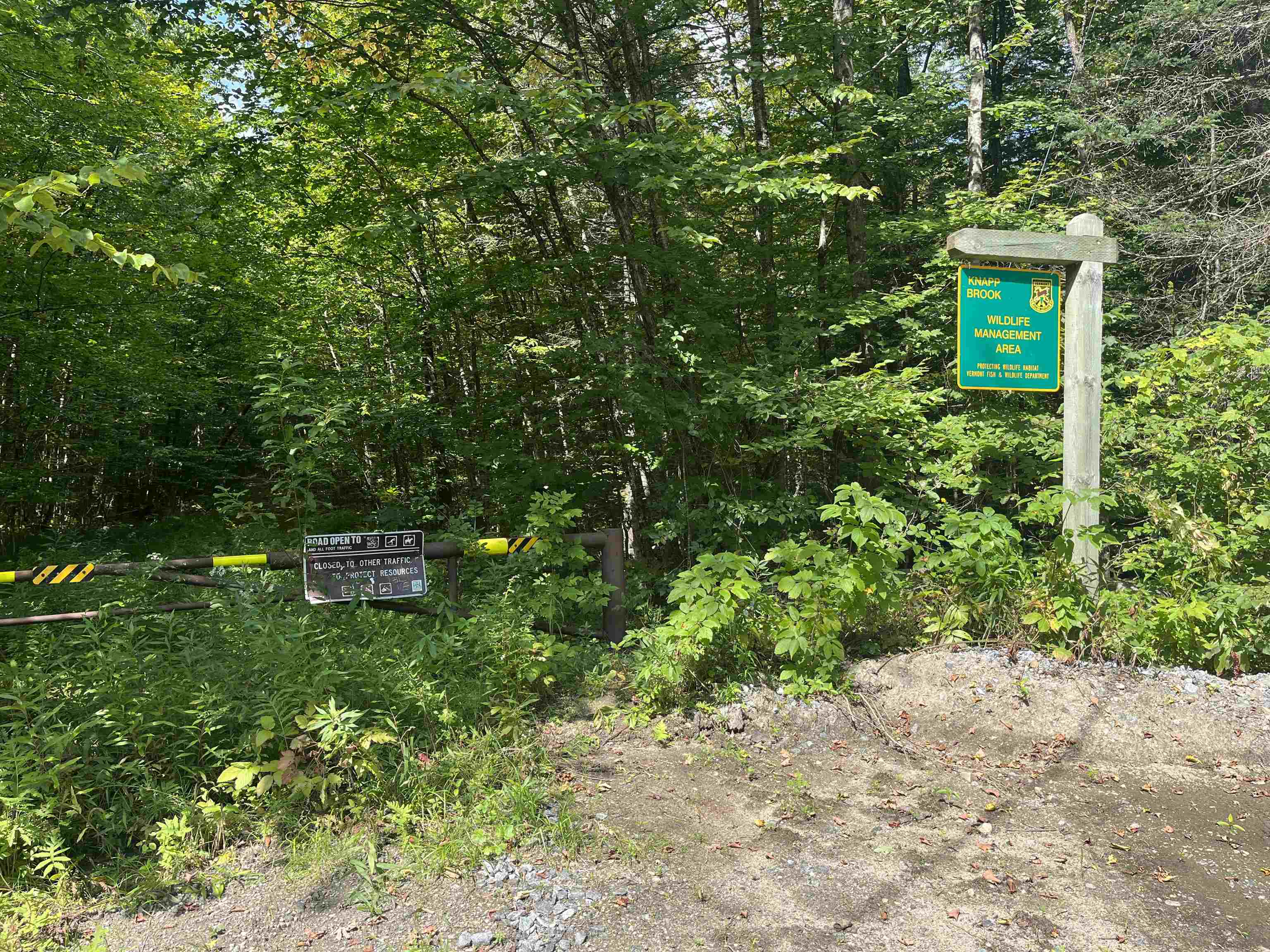 0 Chaos Turnpike Cavendish, VT 05142 - Photo 5 of 18