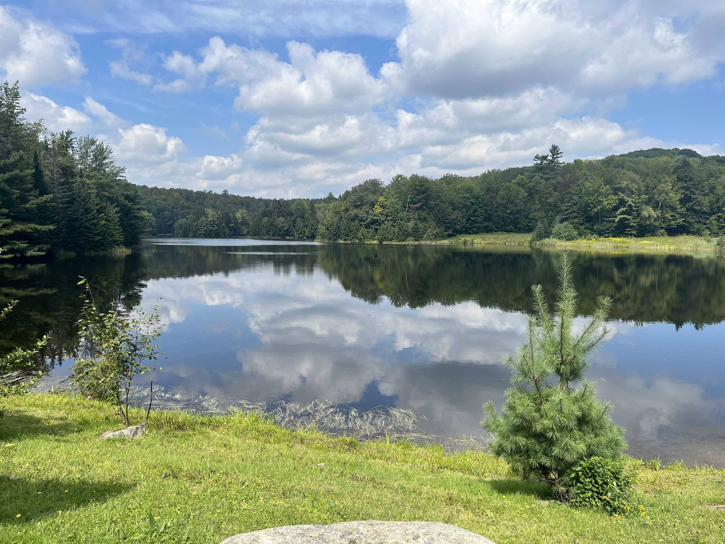 0 Chaos Turnpike Cavendish, VT 05142 - Photo 7 of 18