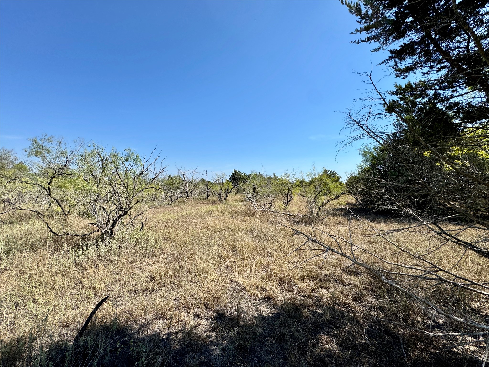 14312 Maha Road Austin, TX 78719 - Photo 4 of 10 Gallery Image 4