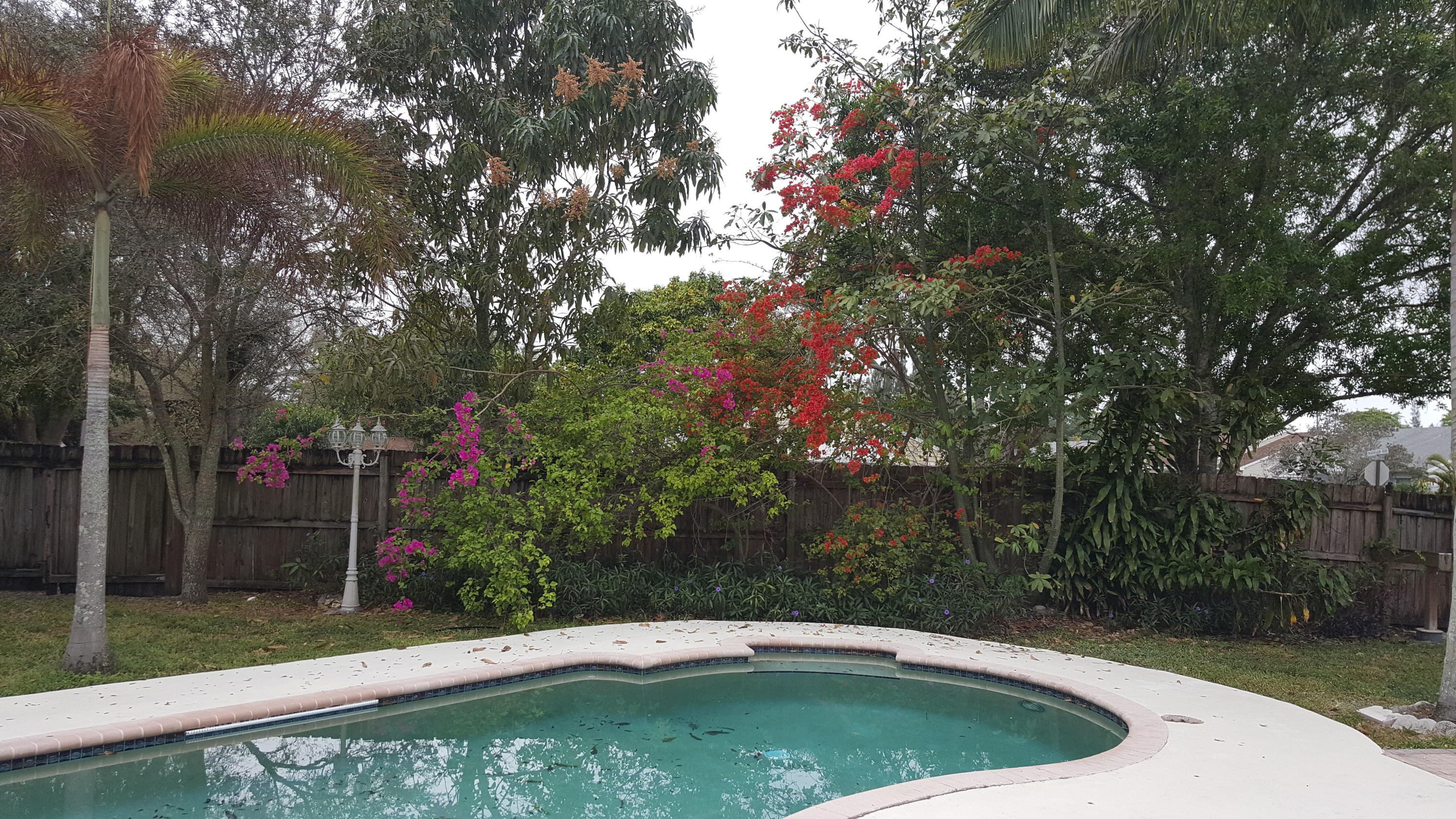 11143 Model Circle East Boca Raton, FL 33428 - Photo 13 of 32 20160316_090617