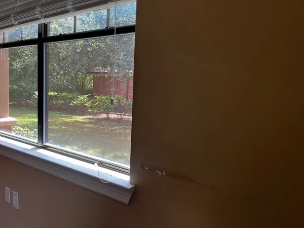 a view of a glass door with a tree in it