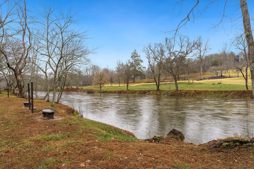 42 Anglers Loop Blue Ridge, GA 30513 - Photo 3 of 59