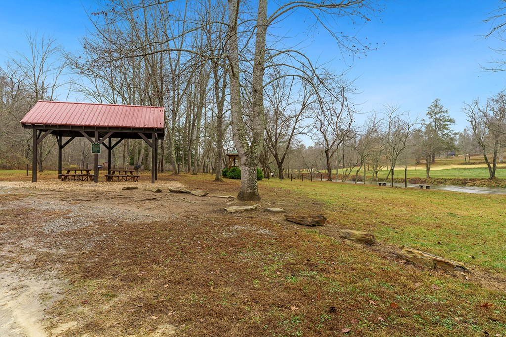 42 Anglers Loop Blue Ridge, GA 30513 - Photo 4 of 59