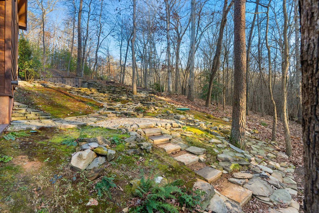 42 Anglers Loop Blue Ridge, GA 30513 - Photo 52 of 59