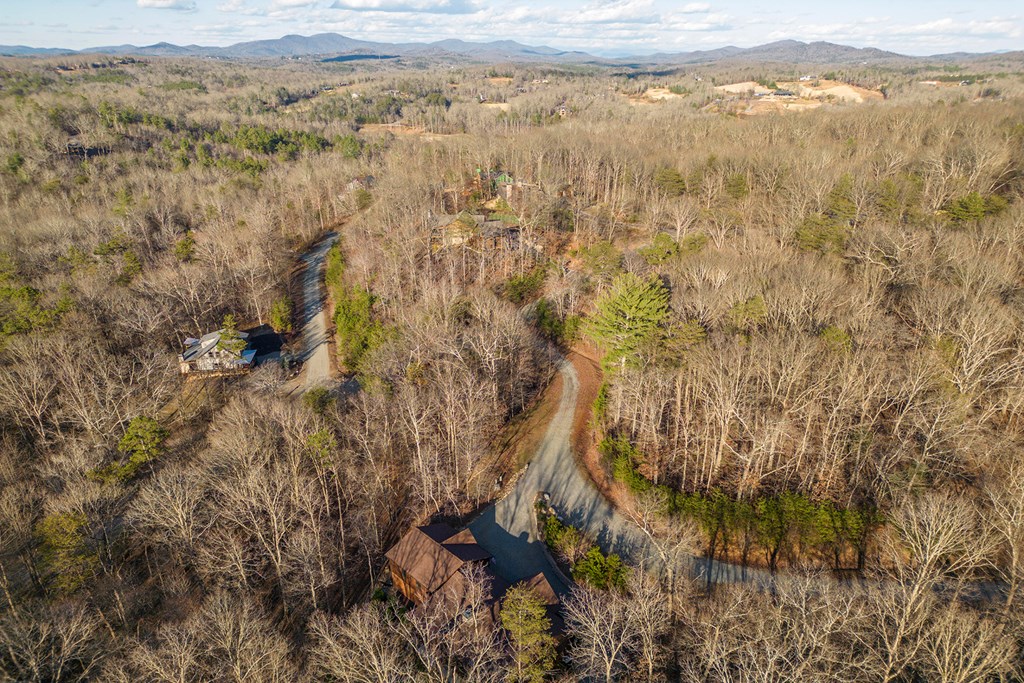 42 Anglers Loop Blue Ridge, GA 30513 - Photo 55 of 59