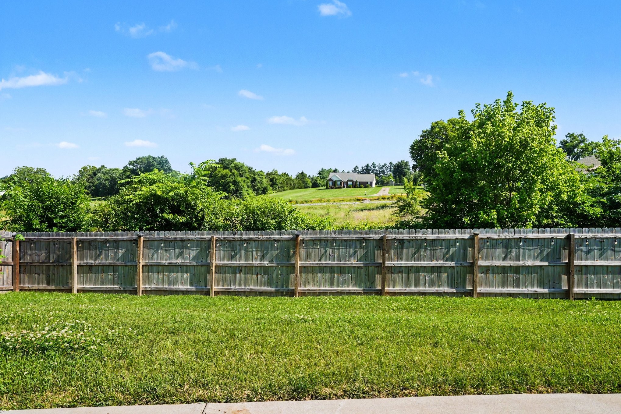 210 Casper Drive Spring Hill, TN 37174 - Photo 17 of 19