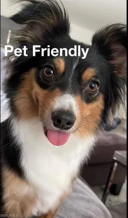 a close view of shoes