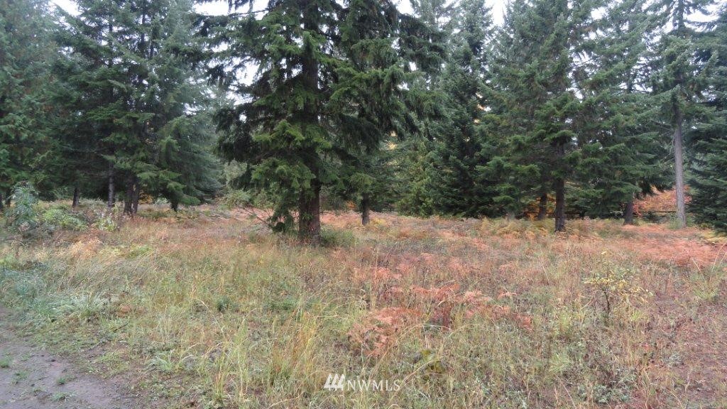 161 Norton Road Easton, WA 98925 - Photo 1 of 3 Gallery Image 1