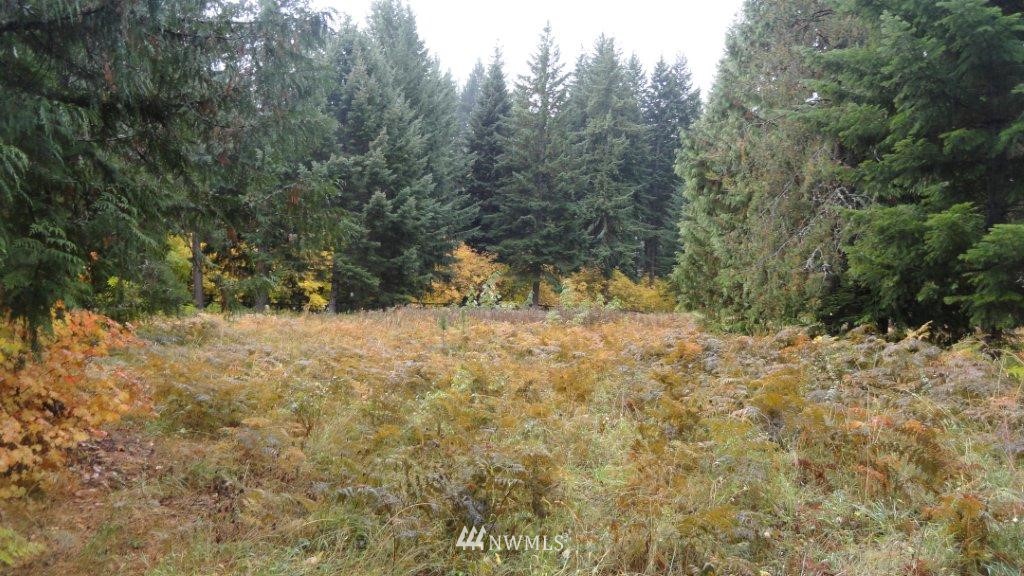 161 Norton Road Easton, WA 98925 - Photo 3 of 3 Gallery Image 3