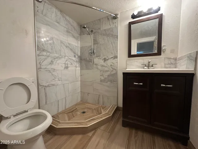 a bathroom with a sink a toilet and shower
