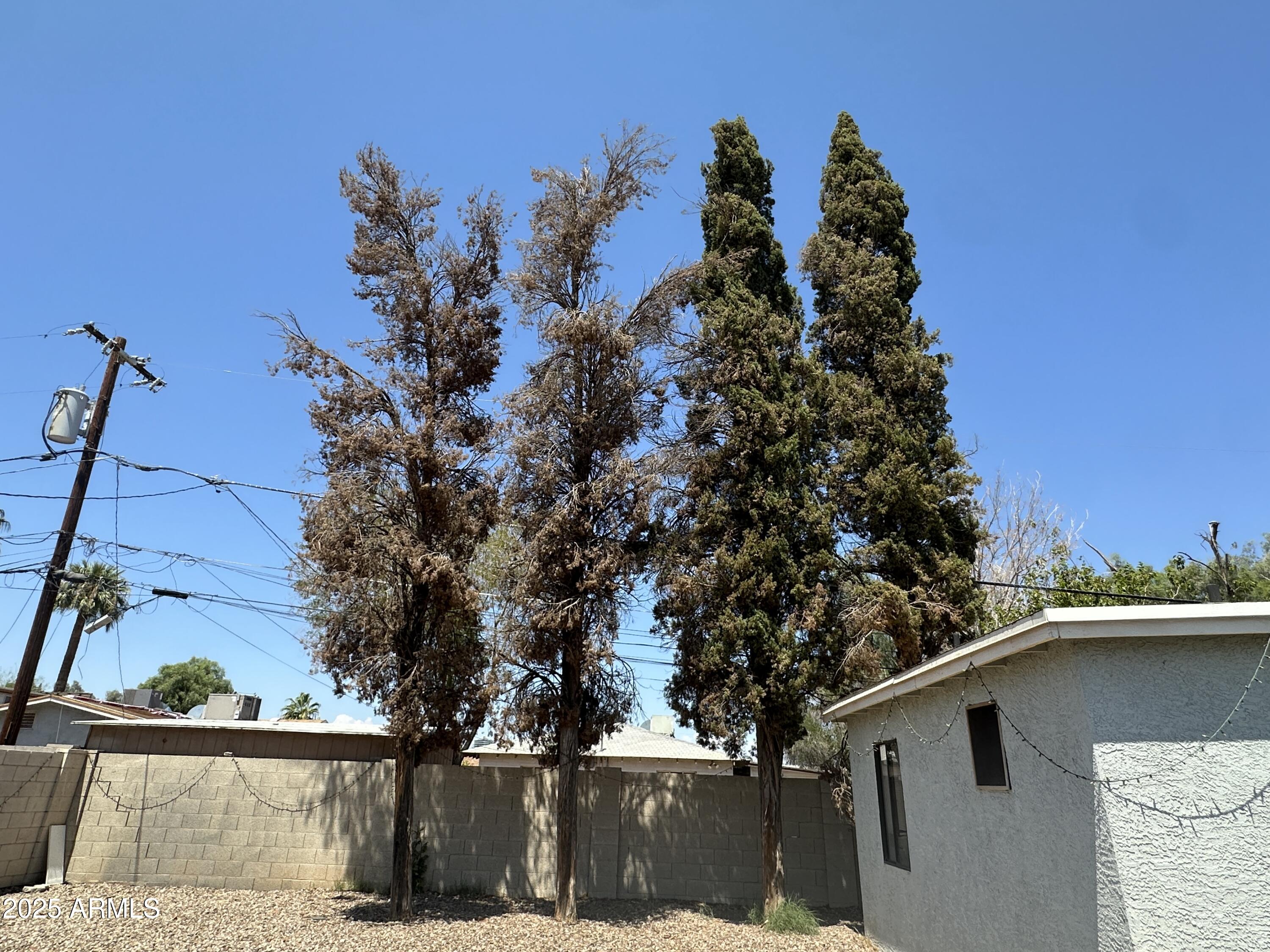 1340 East Hall Street Tempe, AZ 85281 - Photo 16 of 21 a view of a house with a tree