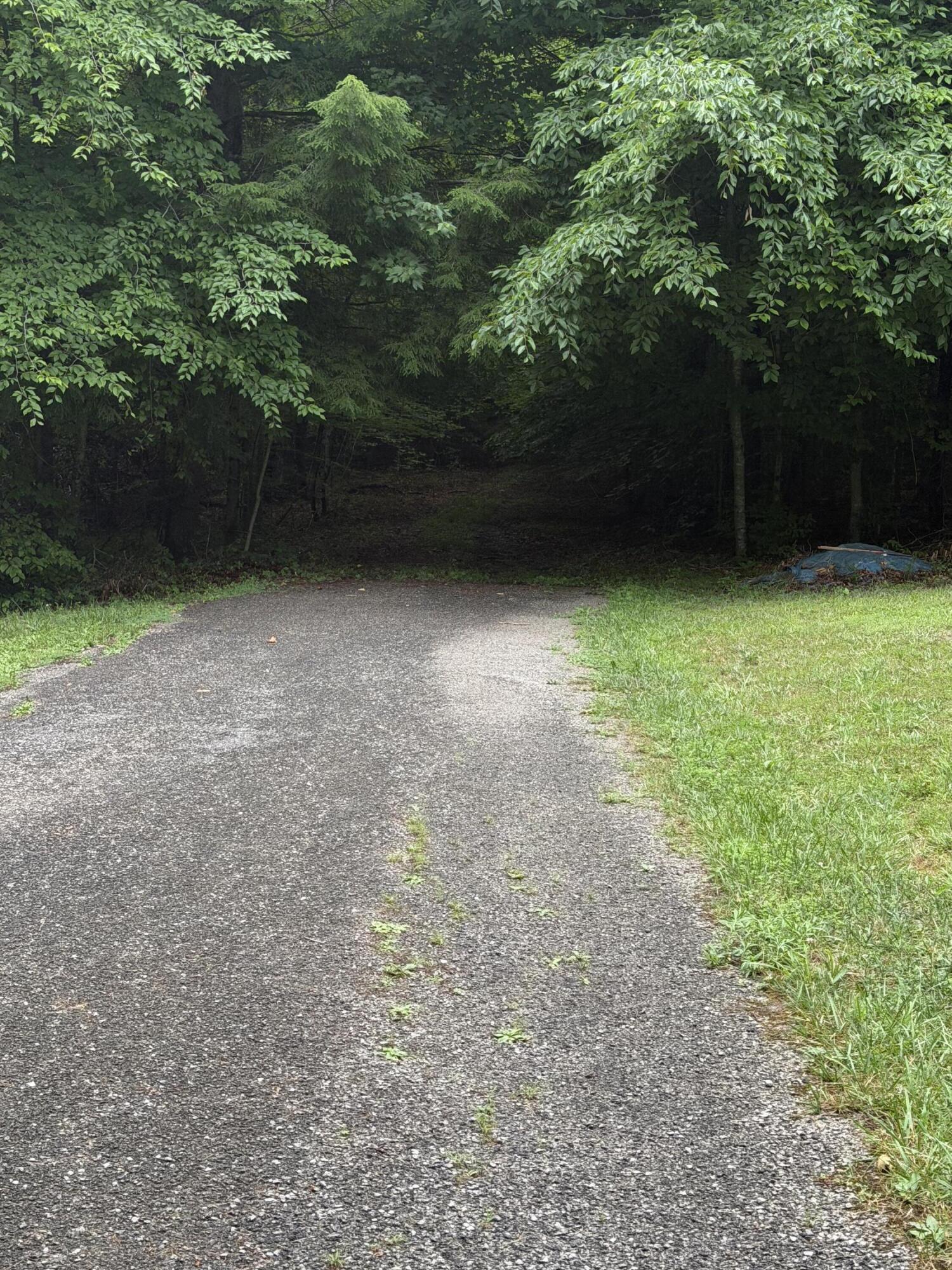 0 Mathis Road McKee, KY 40447 - Photo 22 of 39 IMG_2253