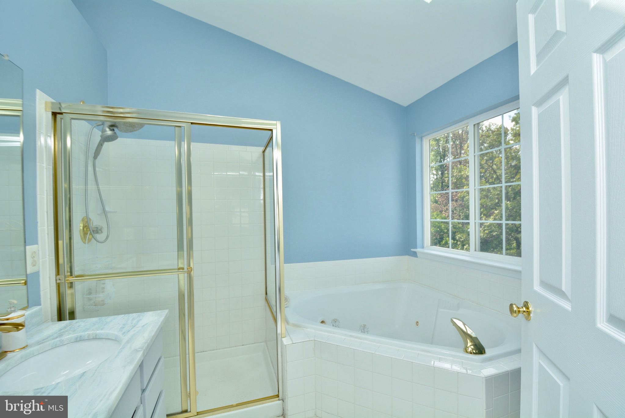8361 Regal Oak Court Springfield, VA 22152 - Photo 34 of 43 Master bath, jacuzzi tub, new fixtures