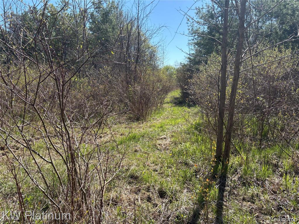 0 North Road Fort Gratiot, MI 48059 - Photo 12 of 18