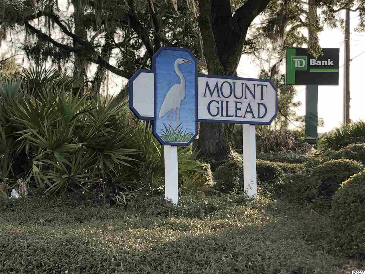 684 Flamingo Court Murrells Inlet, SC 29576 - Photo 28 of 31
