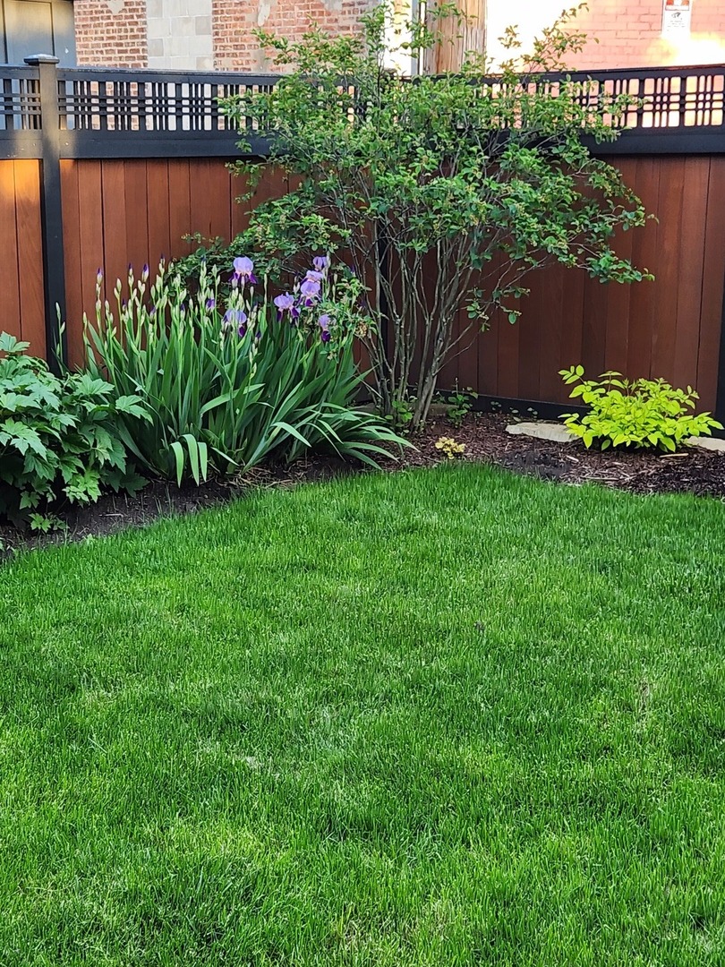 9031 Fairview Avenue Brookfield, IL 60513 - Photo 33 of 35 a view of a garden with flowers