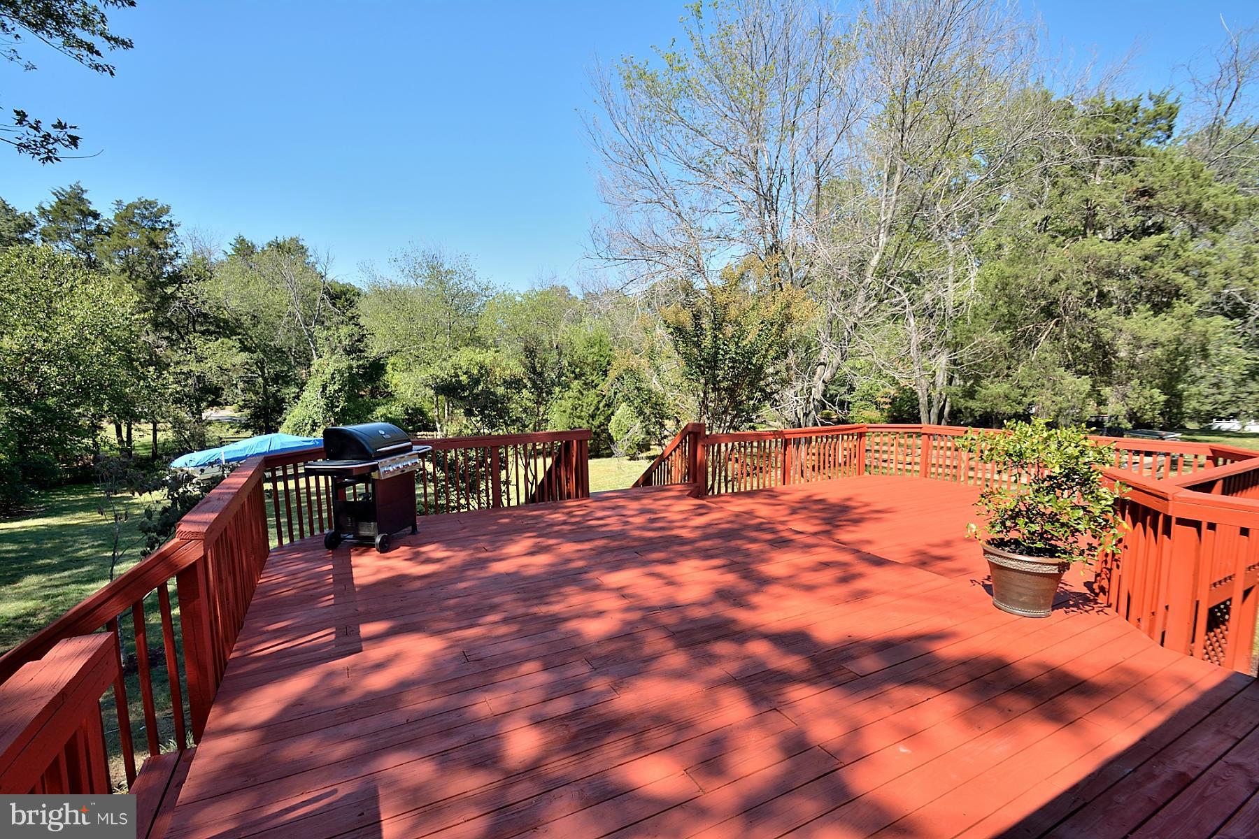 4408 Braddock Road Alexandria, VA 22312 - Photo 25 of 30 Exterior (Rear)