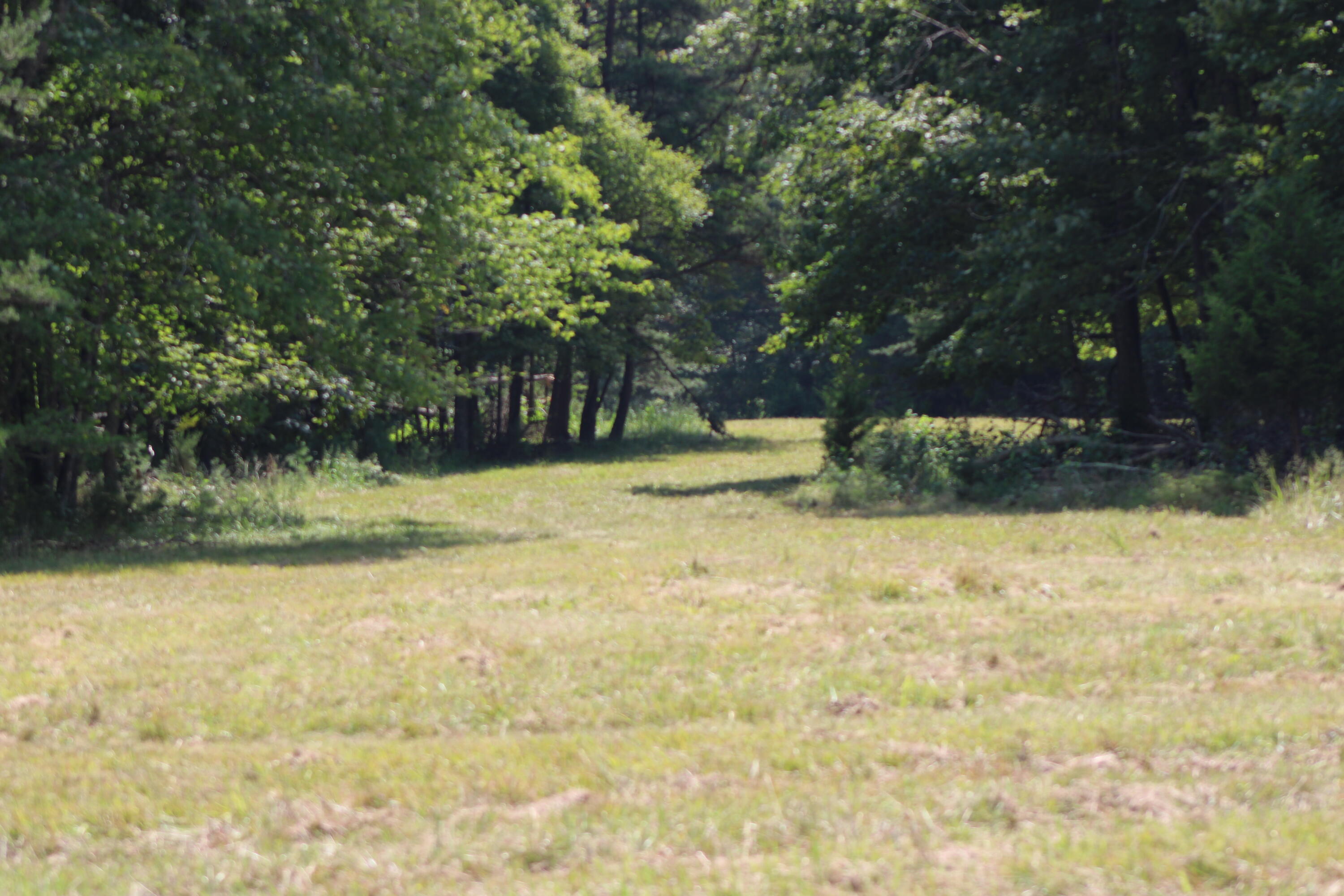 2816 Johns Creek Road New Castle, VA 24127 - Photo 12 of 96 IMG_0107
