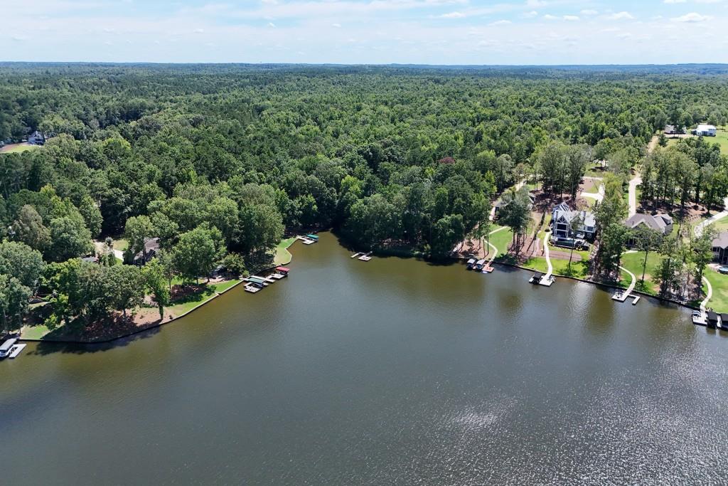 B White Oak Way Buckhead, GA 30625 - Photo 12 of 17